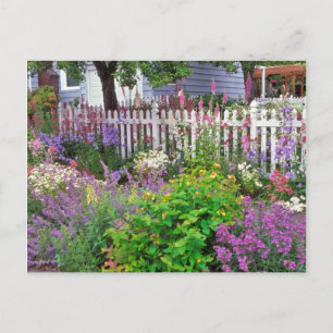 Postal EEUU, Oregón, Portland. Explosión De La Primavera