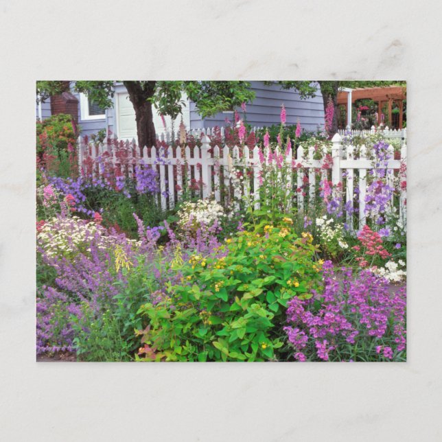 Postal EEUU, Oregón, Portland. Explosión De La Primavera (Anverso)