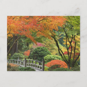 Postal EEUU, Oregón, Portland. Puente de madera y arce