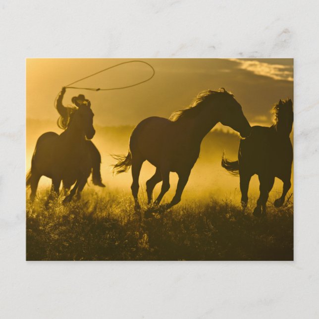 Postal EEUU, Oregón, Seneca, Ponderosa Ranch. (Anverso)