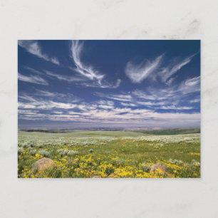Postal EEUU, Oregón, Steens Mountain. Burgueses de primav