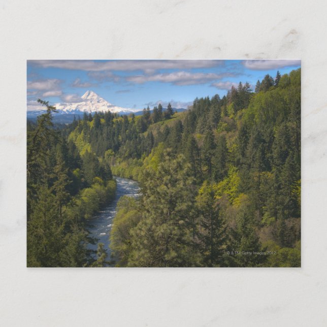 Postal EEUU, Oregón, Vista de gran angular del río Hood c (Anverso)