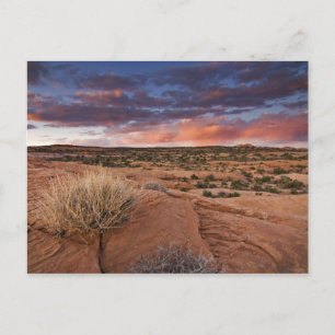 Postal EEUU, Utah. Atardecer en Poison Spider Mesa cerca