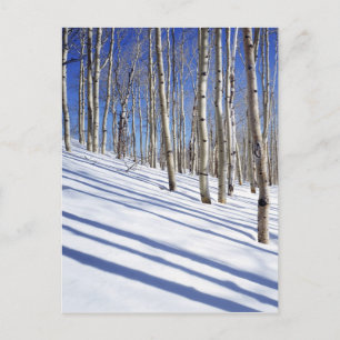 Postal EEUU, Utah, Bosque Nacional Dixie, Aspen Grove