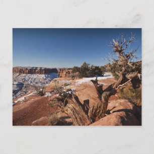 Postal EEUU, Utah, Moab. Parque nacional de los Cañones,