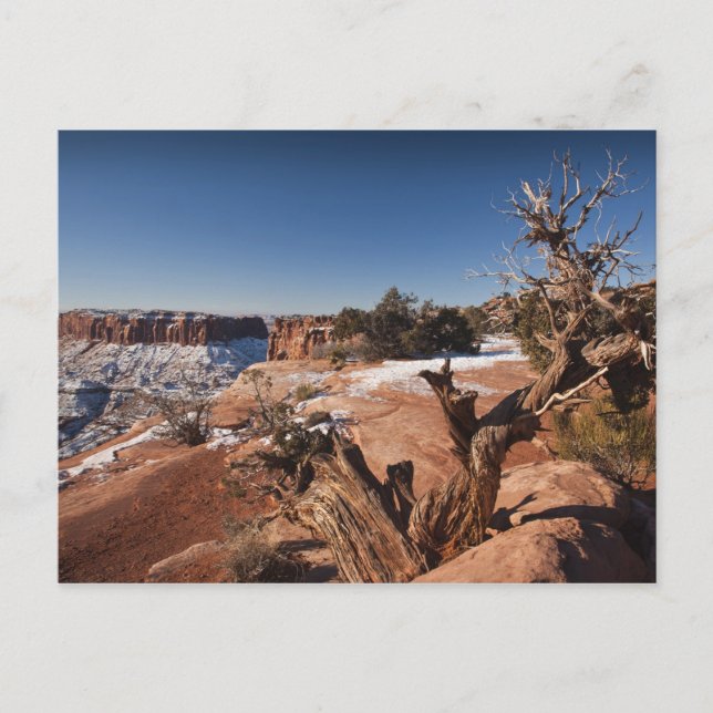 Postal EEUU, Utah, Moab. Parque nacional de los Cañones, (Anverso)