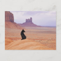 EEUU, Utah, Monument Valley, perro sentado en una 