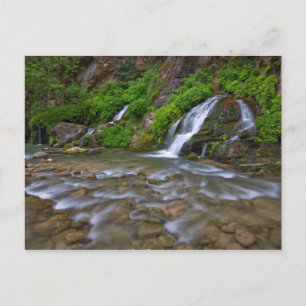 Postal EEUU, Utah, Parque Nacional Zion. Big Springs in