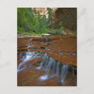 Postal EEUU, Utah, Parque Nacional Zion. Escenario desde