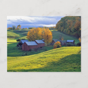 Postal EEUU, Vermont, Granja Jenne. Colinas verdes rodand
