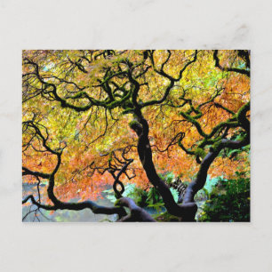 Postal EEUU, Washington, Seattle, Jardín Kubota.