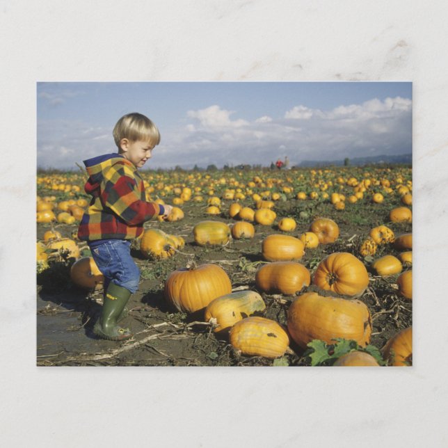 Postal EEUU, Washington, Snohomish. Niño pequeño (Anverso)