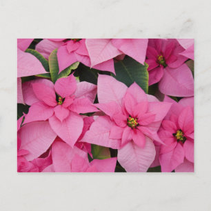 Postal EEUU, Washington, Woodinville, enfermera de Molbak