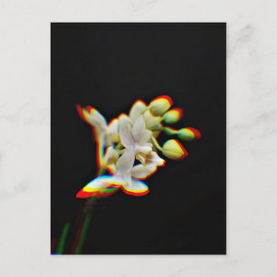 Postal Efecto de brillo de flor de orquídea