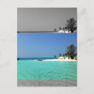 Postal Efecto de imágenes planas modernas de Sepia modera