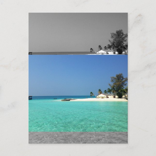 Postal Efecto de imágenes planas modernas de Sepia modera (Anverso)