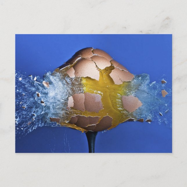 Postal Eggceptivo (Anverso)