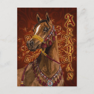 Postal egipcia de caballo árabe Dream
