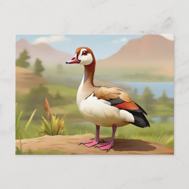 Postal Egipcio Goose por agua (Anverso)
