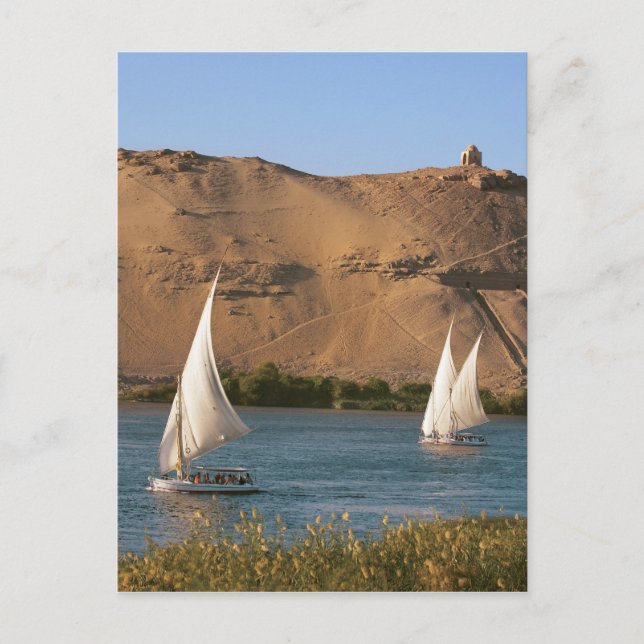 Postal Egipto, Asuán, Río Nilo, veleros Felucca, (Anverso)