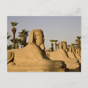 Postal Egipto, Luxor. La Avenida de las Esfinges conduce 