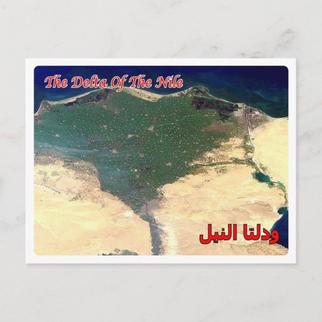 Postal Egipto - Mar Rojo - Delta del Nilo - (Anverso)