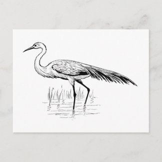 Postal egret