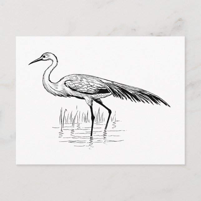 Postal egret (Anverso)