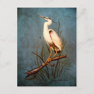 Postal Egret