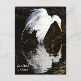 Postal Egret en flor