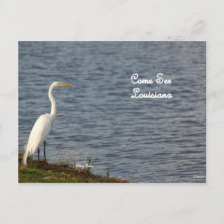 Postal Egret invitándote a venir a Luisiana