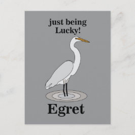 Postal Egret Lucky Bird
