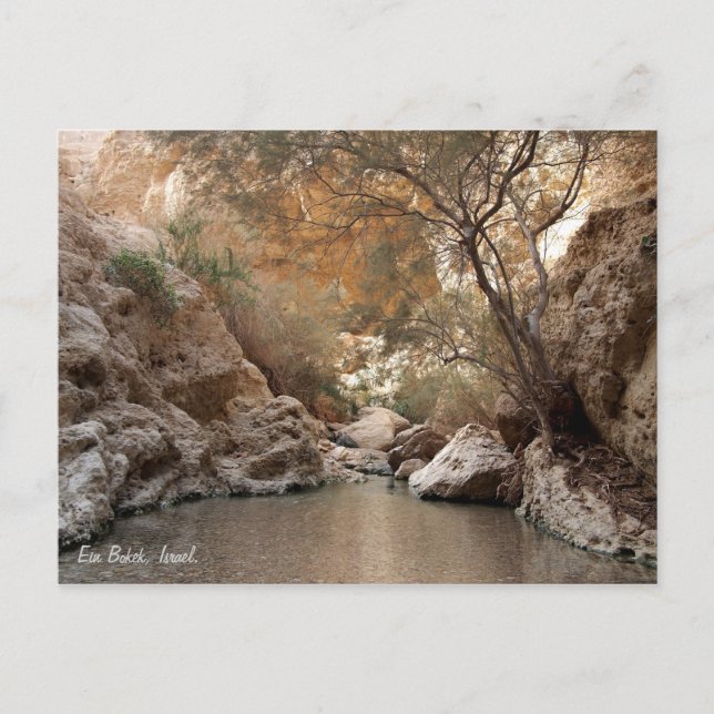 Postal Ein Bokek, Israel. (Anverso)