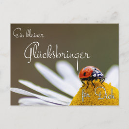 Postal Ein kleiner Glücksbringer für Dich mit Marienkäfer