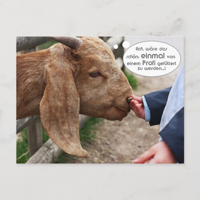 Postal ...einmal von einem Profi gefüttert zu werden... (Anverso)