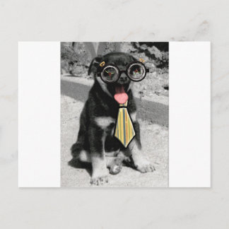 Postal Einstein es un perro perrito negro inteligente