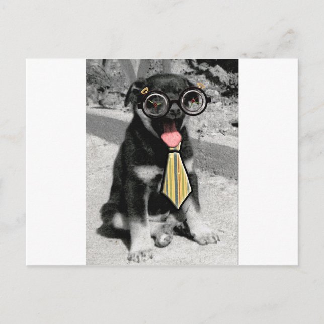 Postal Einstein es un perro perrito negro inteligente (Anverso)