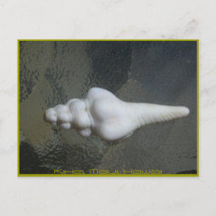 Postal Eje Shell de Maui,