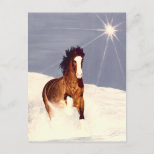 Postal Ejecución de Starlight