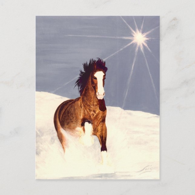 Postal Ejecución de Starlight (Anverso)