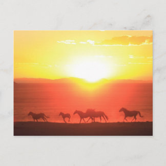 Postal Ejecución de Sunset