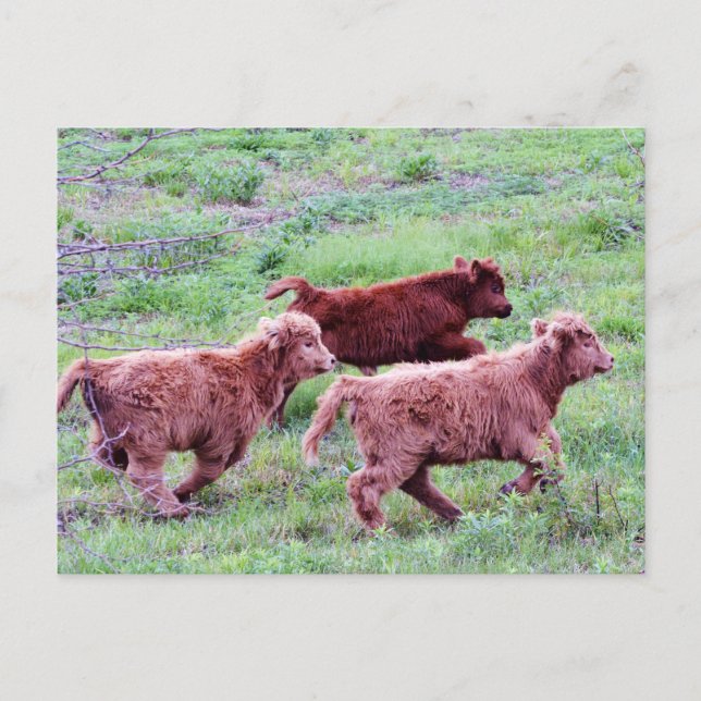 Postal Ejecución libre sobre el terreno (Anverso)