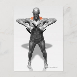 Postal Ejercicio de fila vertical 2