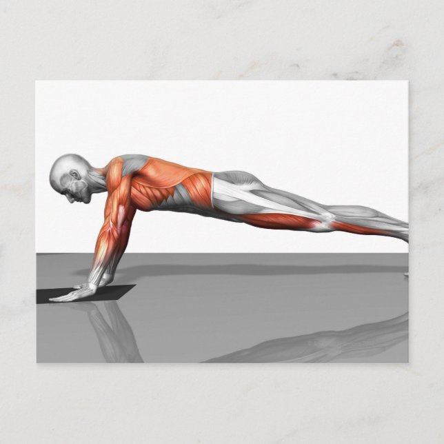 Postal Ejercicio de toalla de vuelo (Anverso)