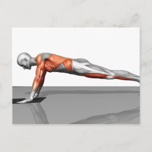 Postal Ejercicio de toalla de vuelo