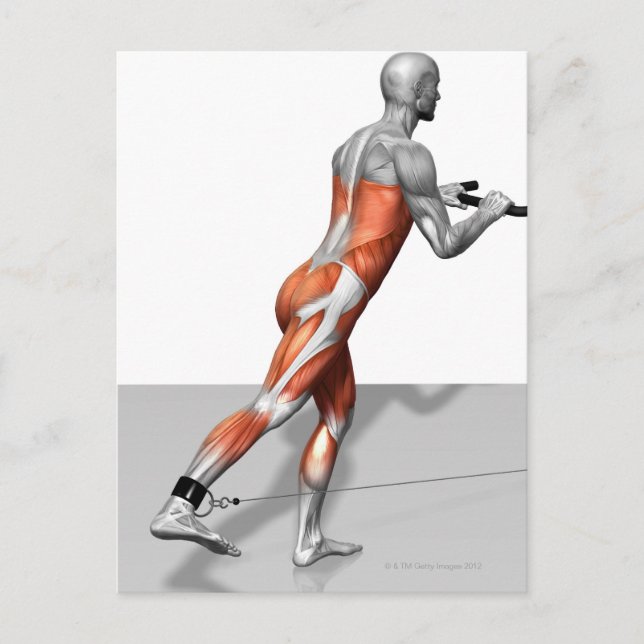 Postal Ejercicio sobre el patinaje por cable (Anverso)