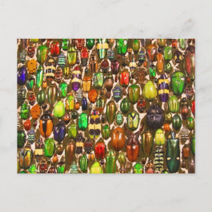 Postal Ejército de escarabajos y bichos