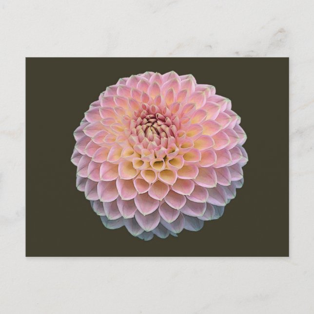 Postal Eklat (Anverso)