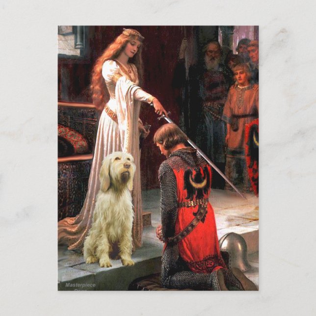 Postal El Accolade - Spinone Italiano 5 (Anverso)