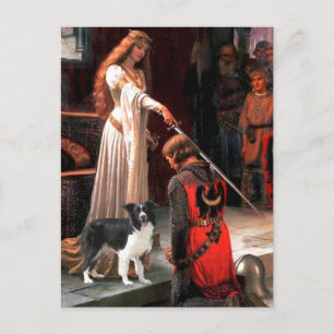 Postal El Acollade - Border Collie (Z)